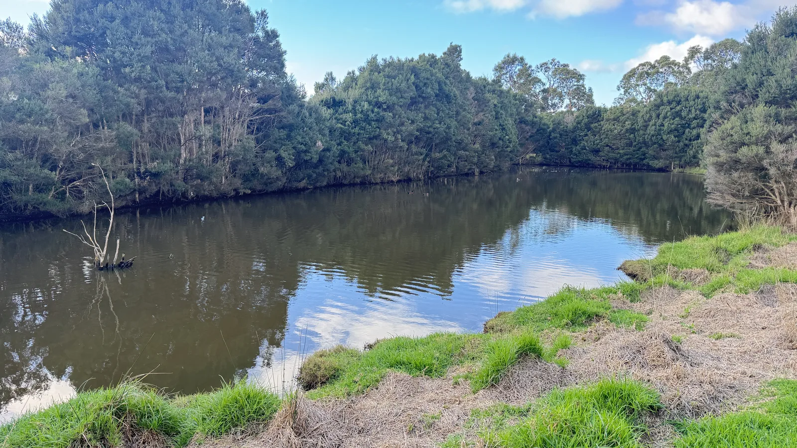 Peaceful pond surrounded by native bushland